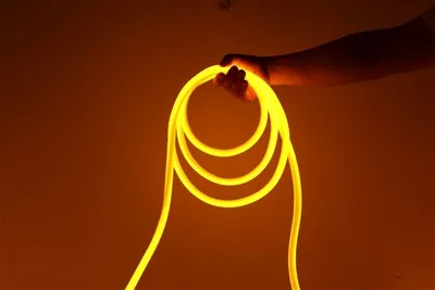 Bande au néon 144LEDs/M IP65 ultra lumineuse de DC24V LED pour la décoration extérieure